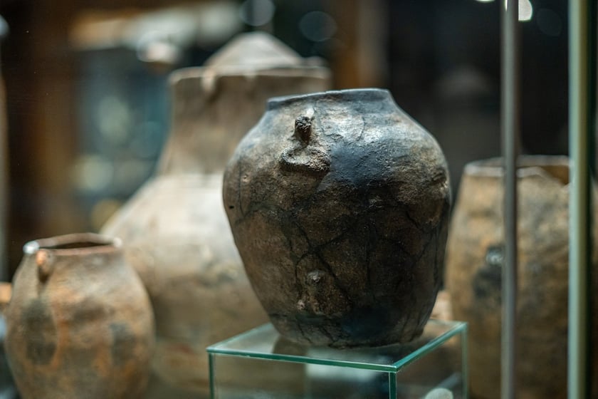 Wystawa Artificalia, naturalia, exotica w Muzeum Archeologicznym we Wrocławiu